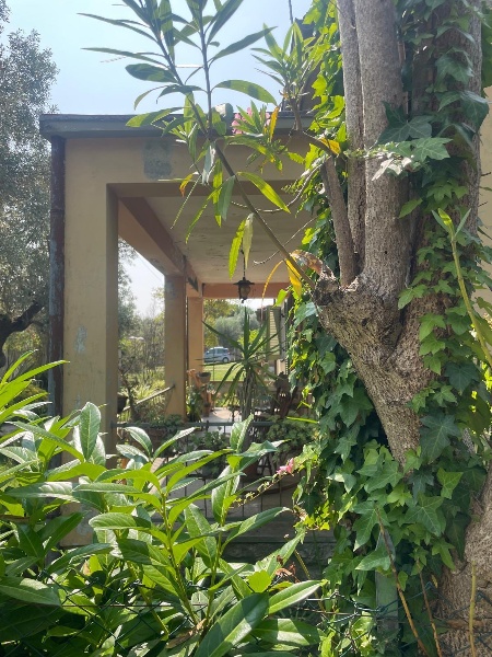 immagine annuncio 8 di 14