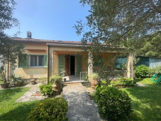 immagine annuncio 10 di 14