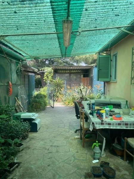 immagine annuncio 12 di 14