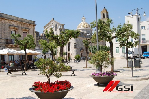 immagine annuncio 9 di 10