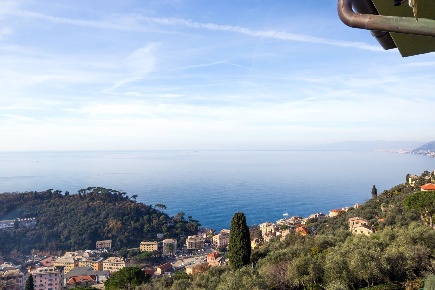 Foto Appartamento in Via Aurelia, Camogli in affitto