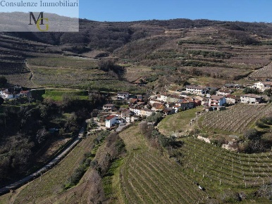 Foto Appartamento a San Giovanni Ilarione di 390 m² con 20 locali