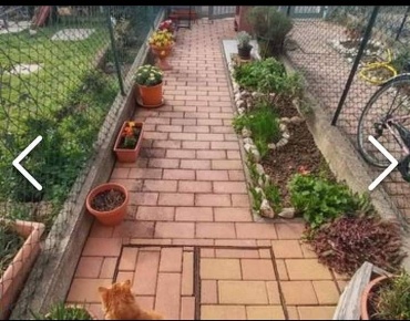 Foto Appartamento a Solarolo con 3 locali in vendita