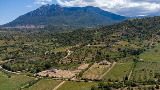 Foto Villa singola in Loc. Sa Badde de sa Figu, Oliena di 200 m² in vendita