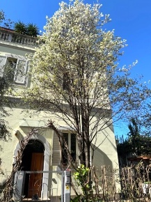 Foto Case semi ndipendenti a Livorno Piazza Roma - Borgo Cappuccini
