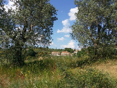 Foto Villa a schiera in Zona esterna alle mura Montisi, Montalcino