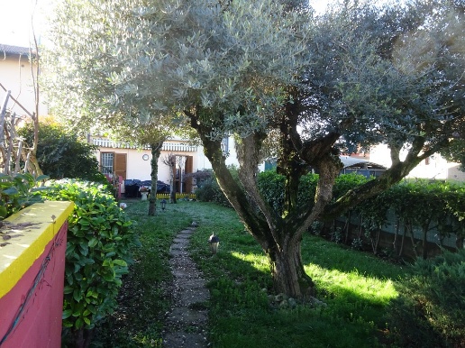 immagine annuncio 5 di 9