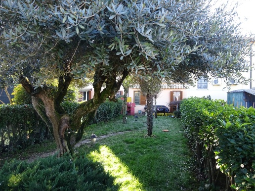 immagine annuncio 6 di 9
