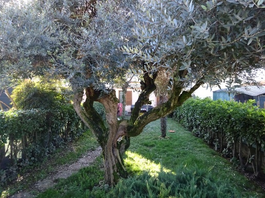 immagine annuncio 8 di 9