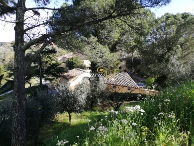Foto Villa bifamiliare in loc. Tripalle, Crespina Lorenzana di 370 m²