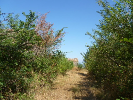 immagine annuncio 3 di 6