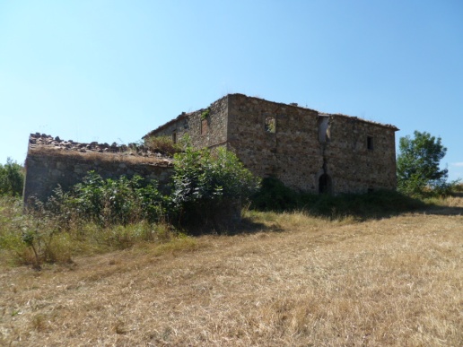 immagine annuncio 4 di 6