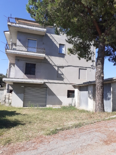 immagine annuncio 2 di 9