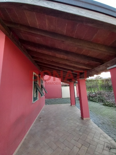 immagine annuncio 3 di 14