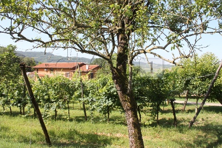 Foto Villa singola a Brendola di 227 m² con 9 locali in vendita