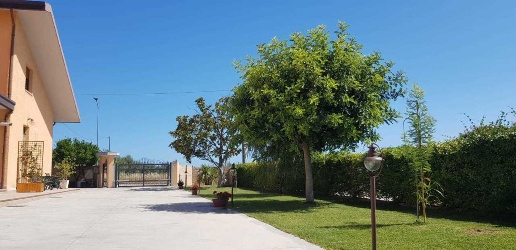 Foto Appartamento a Miglianico con 2 locali in affitto