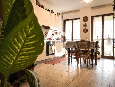 Foto Appartamento a Castelbellino di 80 m² con 2 locali in vendita
