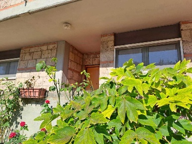 Foto Appartamento in voc. sant'egidio, Montecastrilli di 83 m² con 5 locali