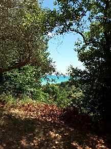 Foto Villa singola a Cupra Marittima di 210 m² con 8 locali in vendita