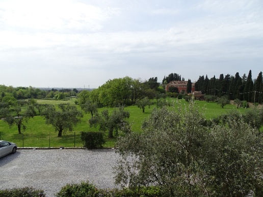 immagine annuncio 2 di 11