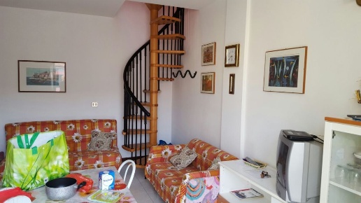 immagine annuncio 3 di 13