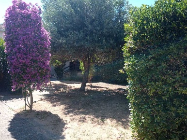 Foto Villa unifamiliare in VIA ROMA  26, Olmedo di 130 m² con 6 locali