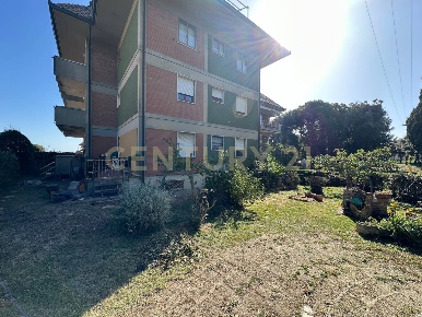 Foto Appartamento a Scansano di 120 m² con 5 locali in vendita