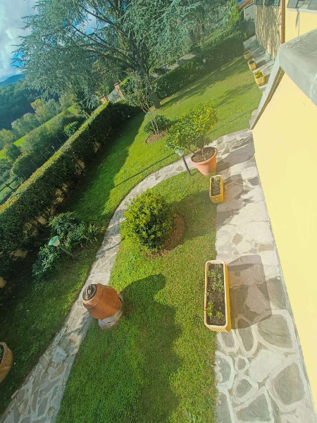 immagine annuncio 7 di 14