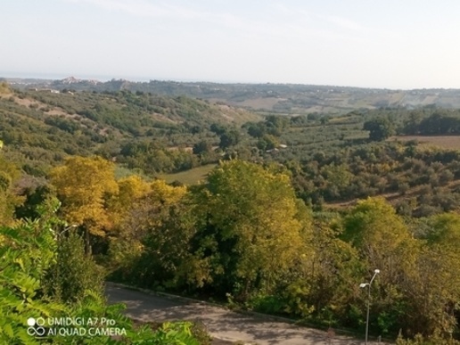 immagine annuncio 2 di 8