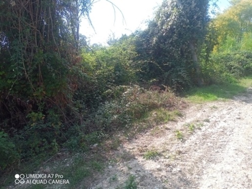 immagine annuncio 4 di 8