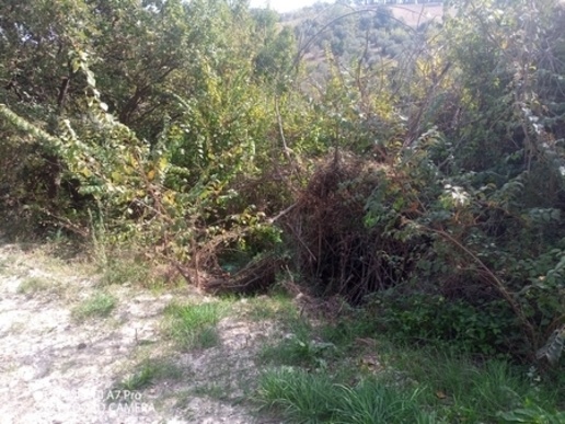 immagine annuncio 6 di 8
