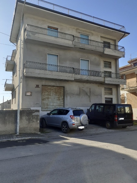 immagine annuncio 1 di 6