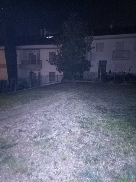 immagine annuncio 2 di 9