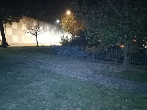 immagine annuncio 6 di 9