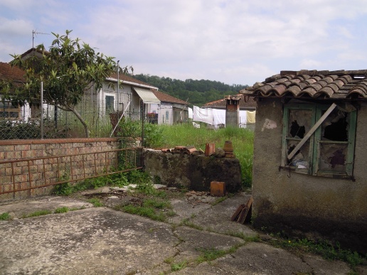 immagine annuncio 2 di 12
