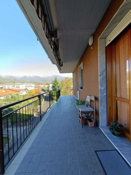 immagine annuncio 3 di 12