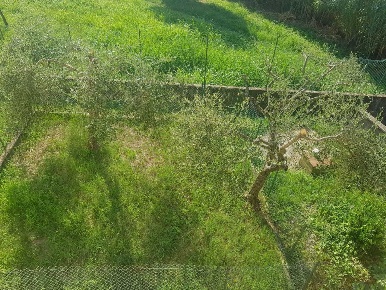 Foto Appartamento a Fosdinovo di 98 m² con 4 locali in vendita