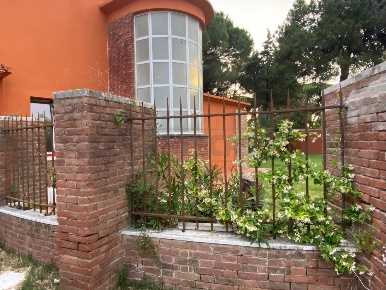 Foto Villa unifamiliare in Viale del Tirreno 375, Pisa Calambrone di 120 m²