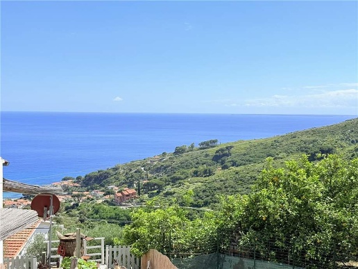 immagine annuncio 4 di 14