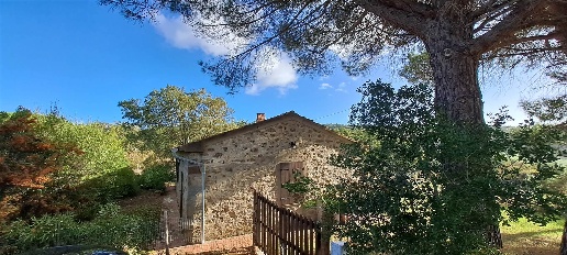 Foto Villa unifamiliare in sp aione 100, Scansano di 97 m² con 4 locali