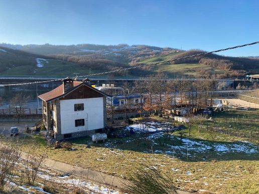immagine annuncio 5 di 12
