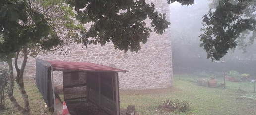 Foto Appartamento a Scansano di 65 m² con 4 locali in vendita