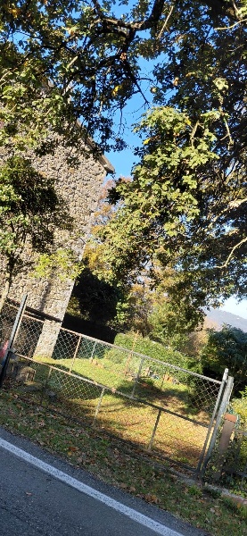 immagine annuncio 11 di 13