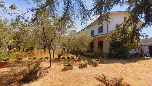 Foto Villa unifamiliare a Montecarlo in vendita