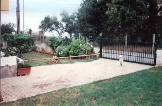 immagine annuncio 1 di 8