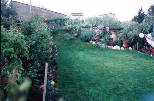 immagine annuncio 3 di 8