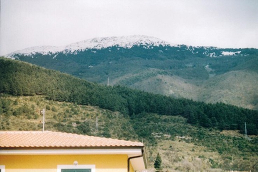 immagine annuncio 5 di 8