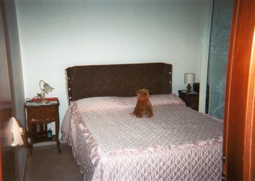 immagine annuncio 6 di 8