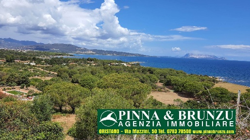 Foto Appartamento a Budoni in vendita
