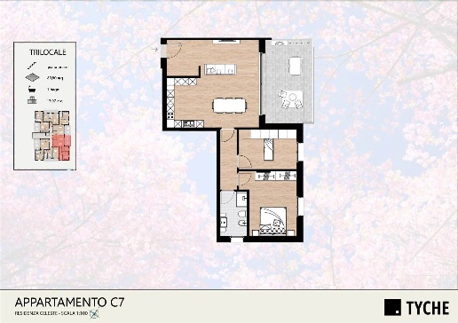 immagine annuncio 7 di 15